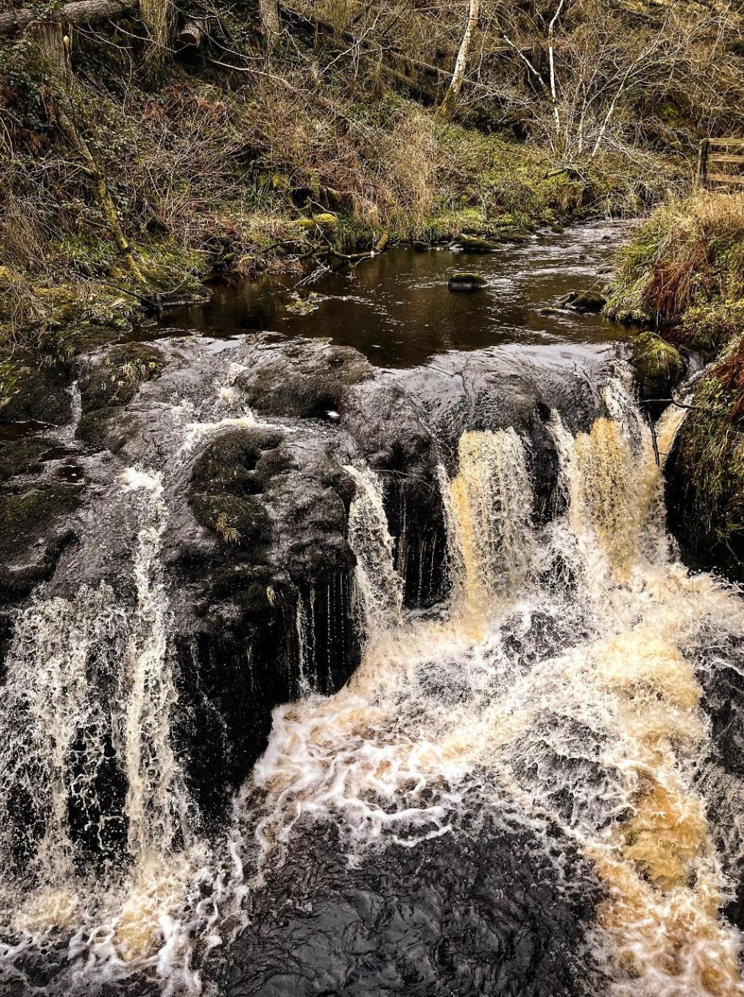 Glenariff Forest Evergreen Lodge Luaran gambar